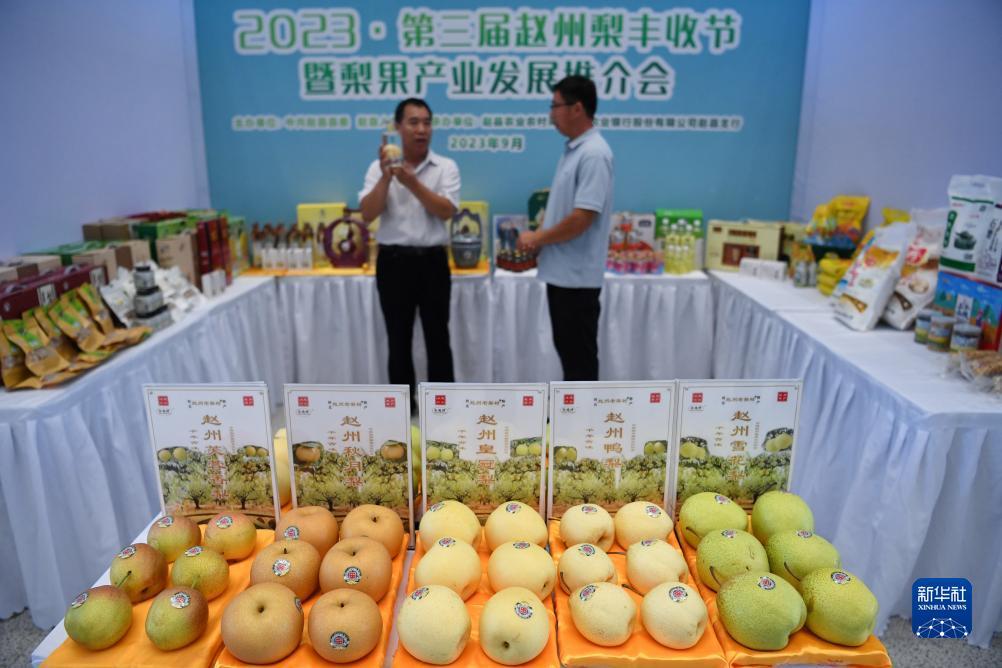 娱乐平台排名